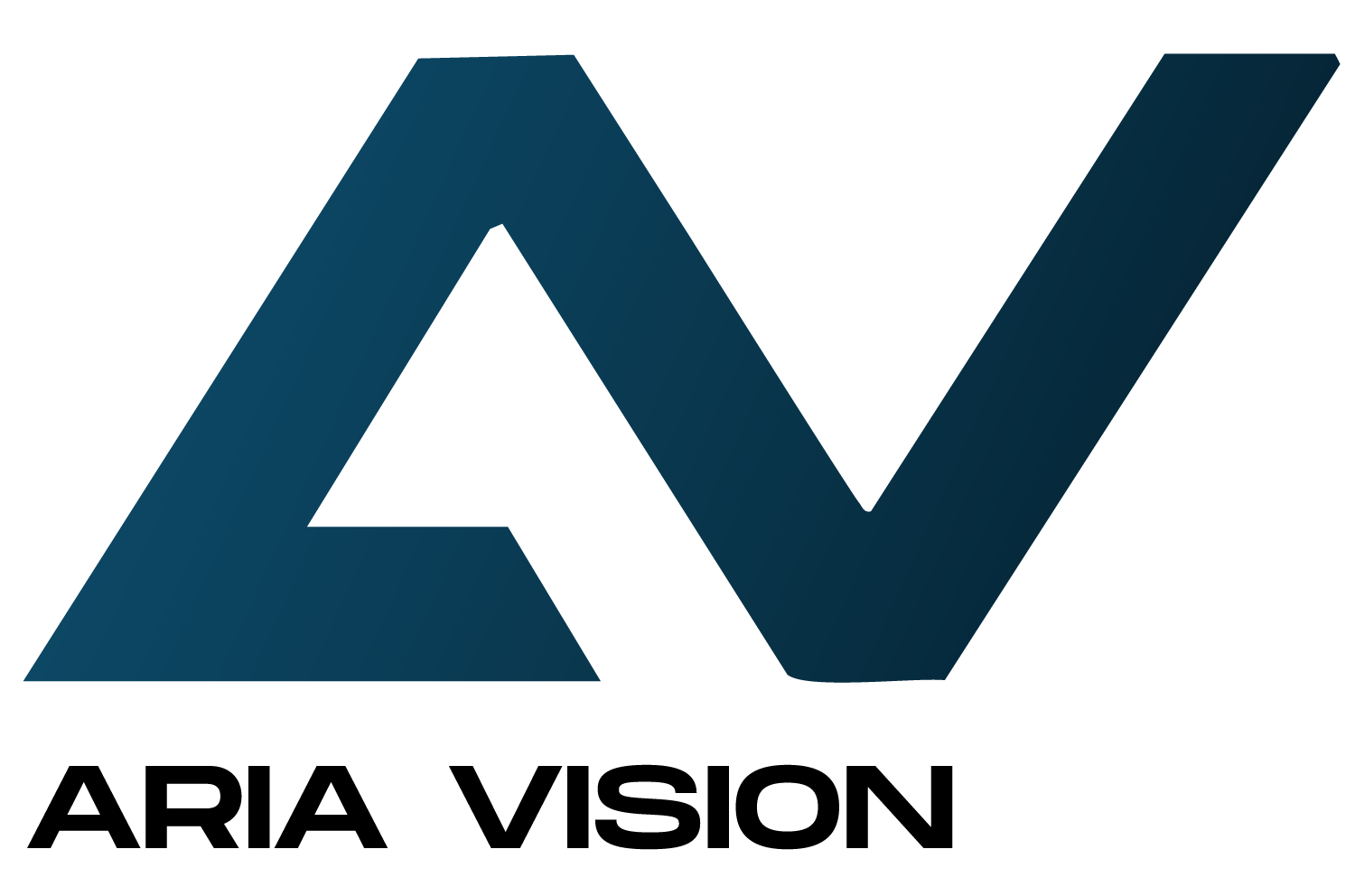 Aria Vision